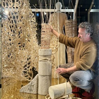 coleccion etrio12 copia